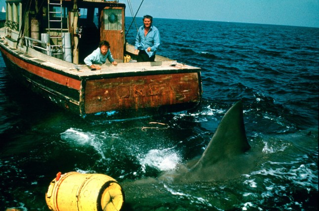 For Editorial Use Only Mandatory Credit: Photo by THA/Shutterstock (13971105nk) Richard Dreyfuss, Robert Shaw, "Jaws" (1975) Universal Pictures Studio Film and Publicity Stills