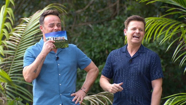 Bushtucker Trial: Temple of Doom - Ant and Dec 'I'm a Celebrity... Get Me Out of Here!' TV Show, Series 23, Australia - 19 Nov 2023 EDITORIAL USE ONLY Mandatory Credit: Photo by ITV/REX/Shutterstock (14222060y)