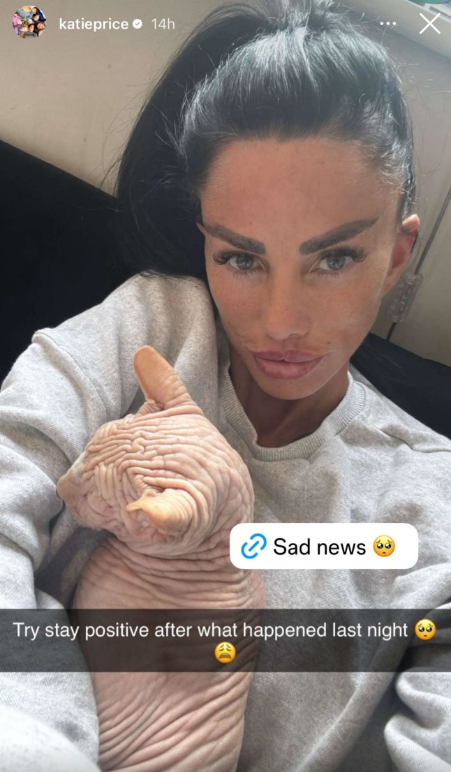 BGUK_3313809 - *EXCLUSIVE* UK, UNITED KINGDOM The British Model Katie Price issues her fans with sad news after trying to stay positive perhaps in reference to her Sphynx cat Doris, with one of the cat's kittens passing away. Pictured: Katie Price - Jordan BACKGRID UK 4 AUGUST 2025 UK: +44 208 344 2007 / uksales@backgrid.com USA: +1 310 798 9111 / usasales@backgrid.com *Pictures Containing Children Please Pixelate Face Prior To Publication*