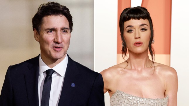 A compilation image of Justin Trudeau and Katy Perry at red carpet events
