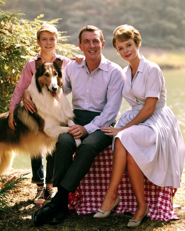 Lassie with Jon Provost, US child actor, June Lockhart, US actress, and Hugh Reilly (1915-1998), US actor, pose for a group portrait issued as publicity for the US television series, 'Lassie', USA, circa 1955. The television drama starred Provost as 'Timmy Martin', Lockhart as 'Ruth Martin', and Reilly as 'Paul Martin'. (Photo by Silver Screen Collection/Getty Images)