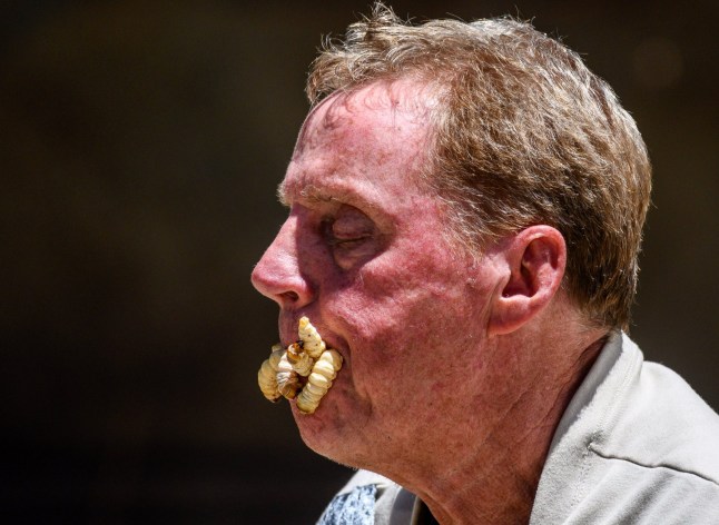 Editorial Use Only Mandatory Credit: Photo by James Gourley/ITV/Shutterstock (9991340w) Bushtucker Trial: Nero to Zero - Harry Redknapp 'I'm a Celebrity... Get Me Out of Here!' TV Show, Series 18, Australia - 24 Nov 2018