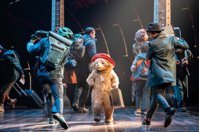 EMBARGOED TO 2000 SATURDAY NOVEMBER 1 Undated handout photo issued by Kate Morley PR of first-look images which have been released of the bear portraying Paddington for the new West End musical inspired by the beloved children's books and films. Paddington The Musical, which begins previews at London's Savoy Theatre on Saturday, follows the small bear from Peru as he is taken in by the Brown family after a chance meeting at a London railway station. Issue date: Saturday November 1, 2025. PA Photo. Photo credit should read: Johan Persson/PA Wire NOTE TO EDITORS: This handout photo may only be used in for editorial reporting purposes for the contemporaneous illustration of events, things or the people in the image or facts mentioned in the caption. Reuse of the picture may require further permission from the copyright holder.